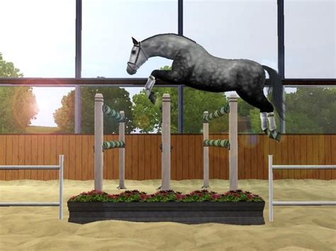 Sims 3 Horses Jumping Northgate Warmbloodss Free Jumping Show
