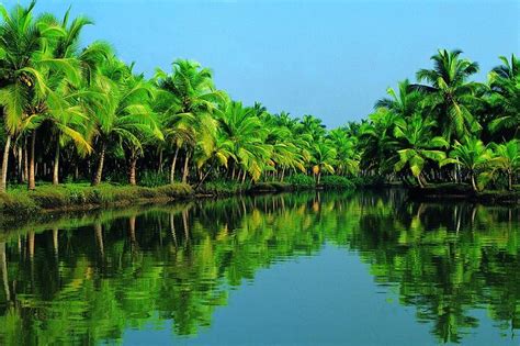 Legend Of The Seas Kochi Shore Excursion Backwater Houseboat Tour And