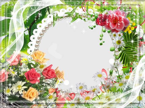 Photo frames with flowers and peacock, clipart frames for design 5 png, 5 psd. Transparent Flower Photo Frame | Gallery Yopriceville ...