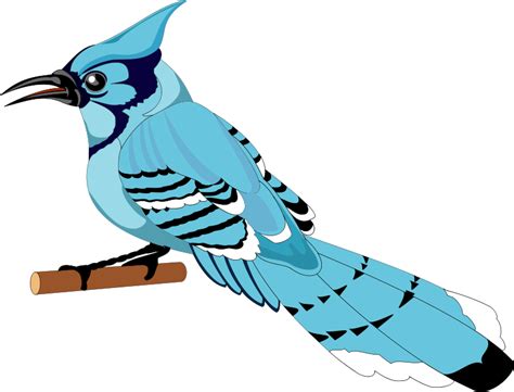 Download Bird (99712) Free SVG Download / 4 Vector