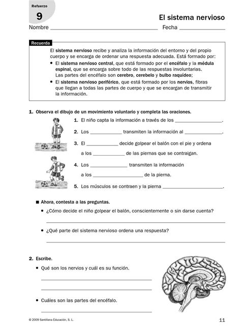 Fichas de refuerzo y ampliación 6º Profesor de biología Enseñanza