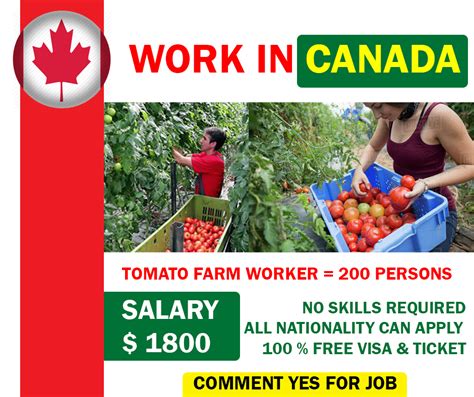 Malaysia jobs for expats, english speakers, westerners in kuala lumpur, johor bahru. Farm jobs in Canada for foreigners with free visa sponsorship