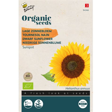 Sunspot Dwarf Sunflower Organic Seeds Helianthus Tuinzaden Eu