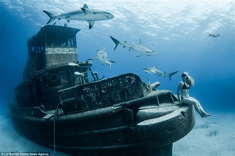 Bahamas Freedivers Strike A Pose With Sharks Daily Mail Online