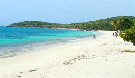 Best St Croix Beaches Us Virgin Island Beachesvilla Margarita St Croix