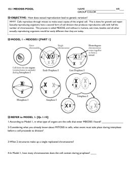 The difference between mitosis and meiosis meiosis il: Cell Division - Birmingham City Schools