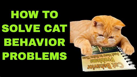 How To Solve Cat Behavior Problems Youtube