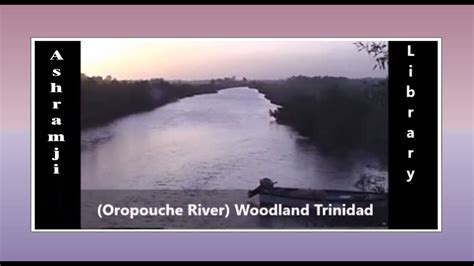 Oropouche River New River La Fortune Woodland Trinidad New Cut