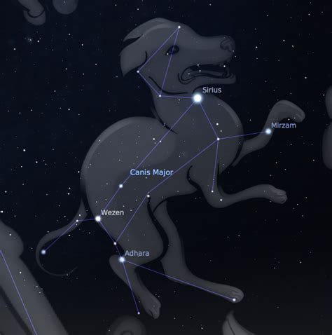 Simplified Science Know The Constellation Canis Major