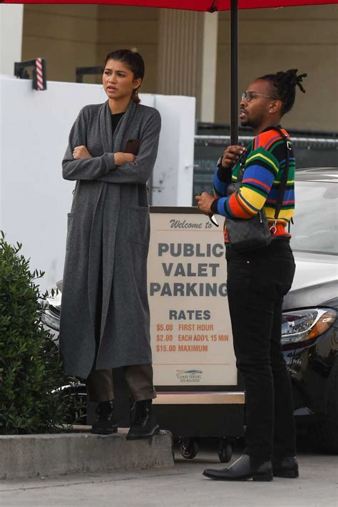 Zendaya's eldest sibling is kaylee. Zendaya in a Gray Cardigan Was Seen Out with Her Brother ...