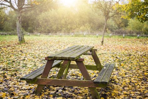 Picnic Table In Autumn Forest Stock Image Image Of Cheerful Table