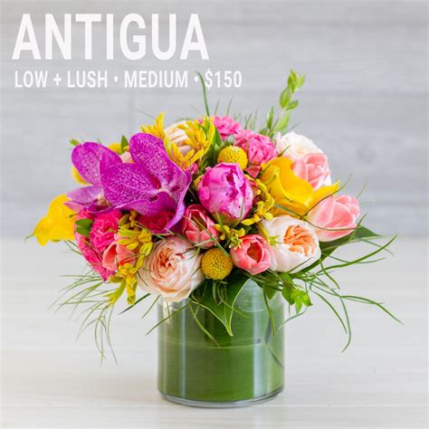 Antigua Color Palette Mcardles Floral And Garden Design