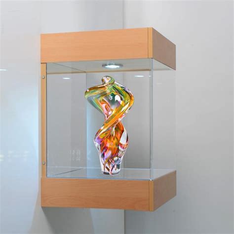 Wall Mounted Acrylic Display Case Images And Photos Finder