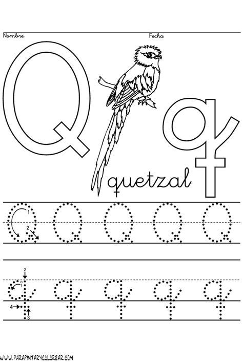 Abecedario Para Pintar Letra Q Grafomotricidad Letras