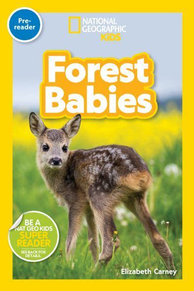 National Geographic Readers Forest Babies Pre Reader By Elizabeth