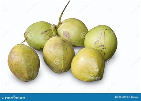Coconut Fruits Stock Image Image Of Palm Coir Heavy 21448313