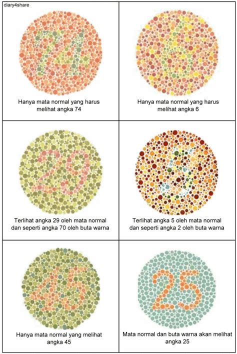 Apa saja tes warna untuk mata? Kurniansyah's Blog: Buta Warna (Color Blind)