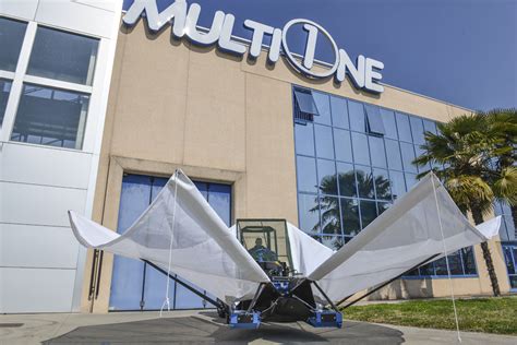 Limb shakers usually achieve a somewhat better removal of fruit on pliant trees (horvath and sıtkei, 2001). Tree shaker with collector - MultiOne