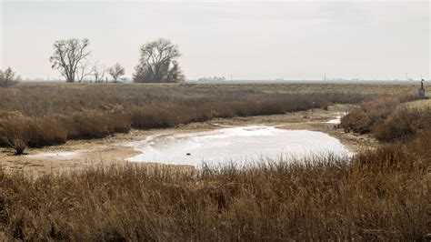 We did not find results for: Bay Area Water Supply in the Crosshairs of New River Plan ...