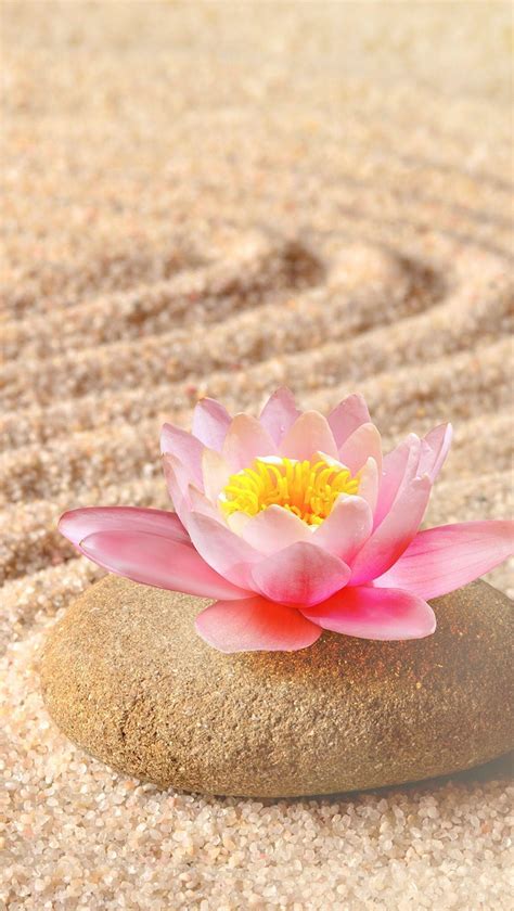 Lotus Zen Wallpapers Top Free Lotus Zen Backgrounds Wallpaperaccess