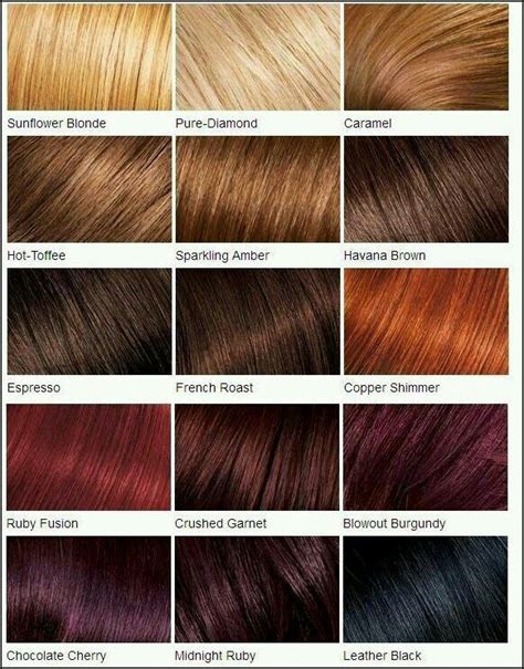 Color Palette Hair Color Chart Loreal Hair Red Hair