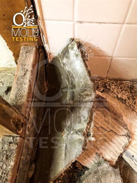 Mold Inspection In Centreville Va Centreville Va Patch