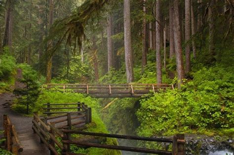Tickets And Tours Olympic National Park Seattle Viator