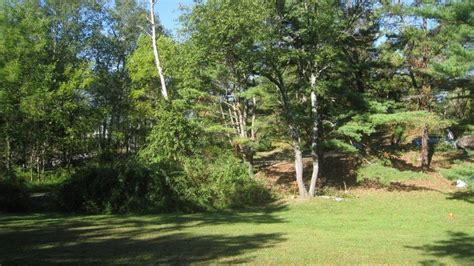 Woodland Restoration Poison Ivy Patrol