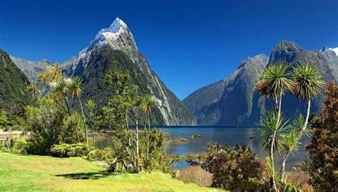 Visiting New Zealand In May Will Be An Unforgettable Experience
