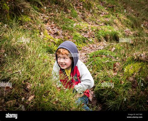 Boy Walking In Woods Hi Res Stock Photography And Images Alamy