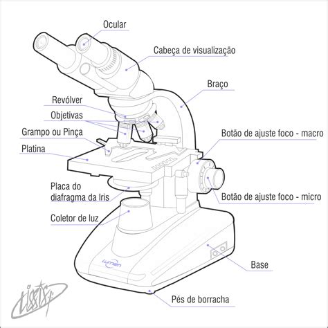 Partes De Um Microscópio