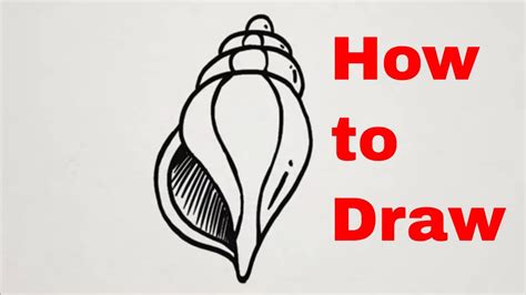 How To Draw Seashells Easy Step By Step Drawing Tutorial Youtube