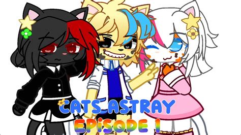 cats astray gcmm 𝘋𝘢𝘷𝘪𝘥 youtube