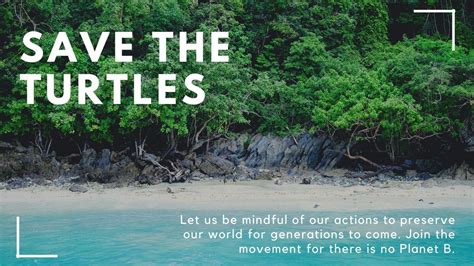 Petition · Save The Turtles Philippines ·