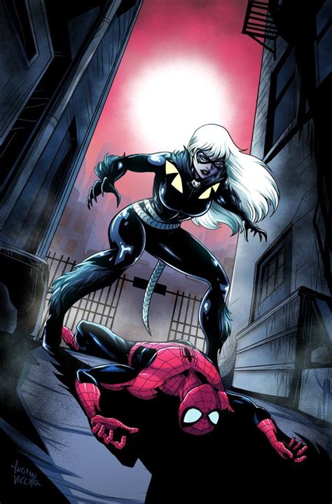 Spider Man And Black Cat Fighting In The City