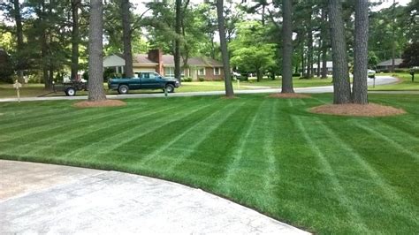 Spring Lawn Care And Landscaping Tips Angies List