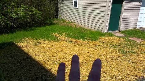 This time there is actually a profile pic of a someone watching the clouds while they lay down in the grass! 2015.04.27 - Placing straw on the new grass seed - YouTube