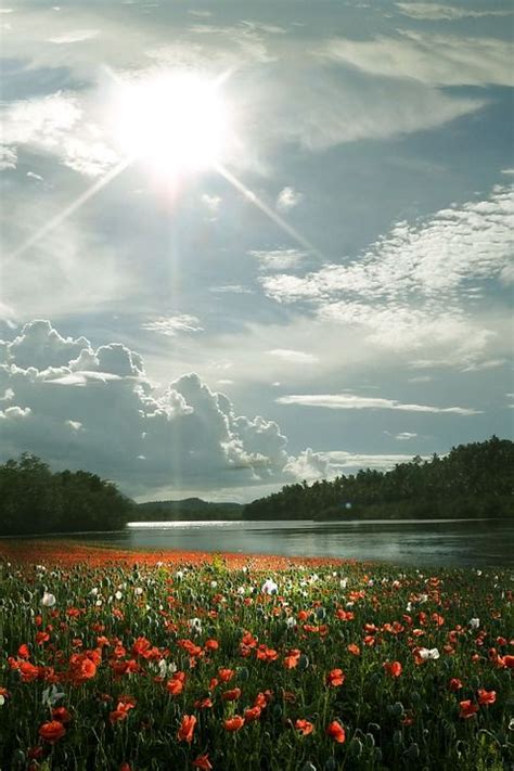 Free Image On Pixabay Field Flower Nature Spring Lake Nature