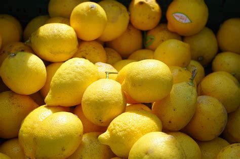 Lemons Fruit Citrus Fruits Free Photo On Pixabay Pixabay