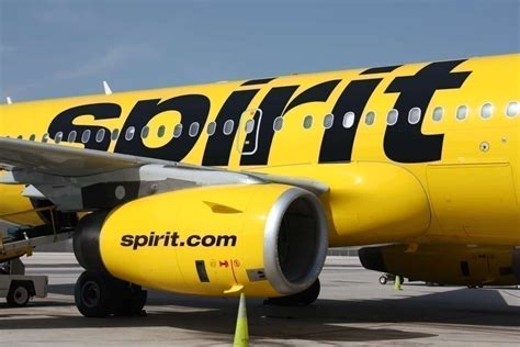 Spirit Airlines Passengers Attack Staff In Rage Over Flight Delay