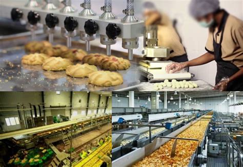 Food Processing In India Food Processing Industry In India Mofpi