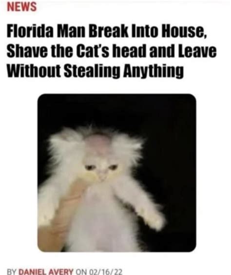 Newsflorida Man Break Into House Shave The Cats Head And Leave Without