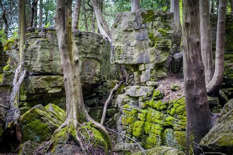 Bruce Trail In Ontario Turns 50 This Year Lets Hike To Celebrate