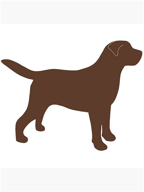 Chocolate Lab Silhouette Poster For Sale By Samauer Redbubble