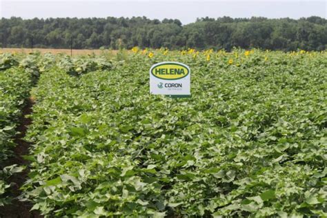 Helena Agri Enterprises Previews Services Products For 2024 Croplife