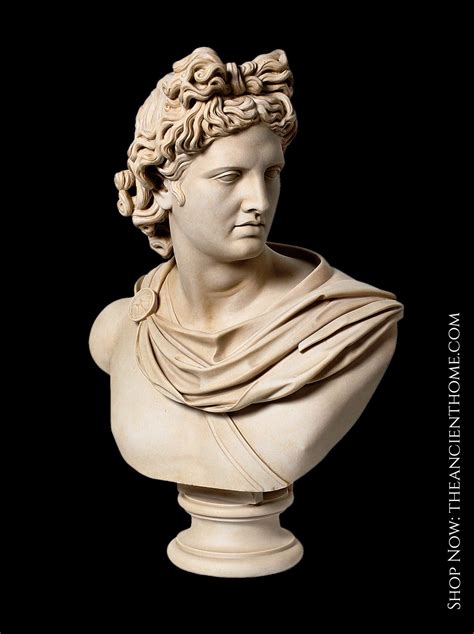 Apollo Belvedere Bust Greek Sculpture Ancient Greek Sculpture