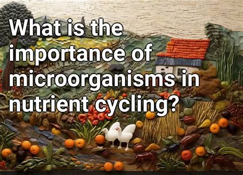 What Is The Importance Of Microorganisms In Nutrient Cycling