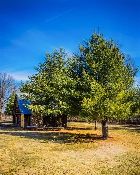 Quaint Cabin In Pioneer Village Yellow Creek Park Owensboro Kentucky