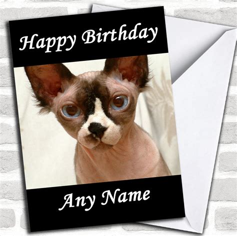 Sphynx Cat Personalized Birthday Card Red Heart Print