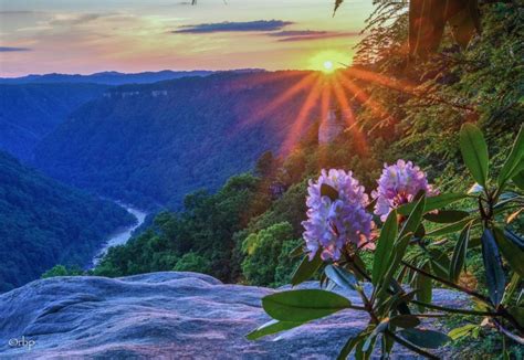 Virginia hill west virginia history virginia homes montana shenandoah river colorado mountain states take me home beautiful places. Which West Virginia rhododendron bears the "state flower ...
